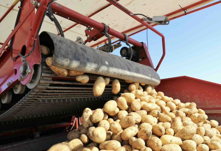 "Les chantiers de pommes de terre sont toujours un peu sportifs on le sait : quand il pleut, ils s'arrêtent ; quand il fait trop sec, ils peuvent également être interrompus. Mais je n'avais jamais connu une saison comme celle-ci", remarque Jennifer Marie du GE14.