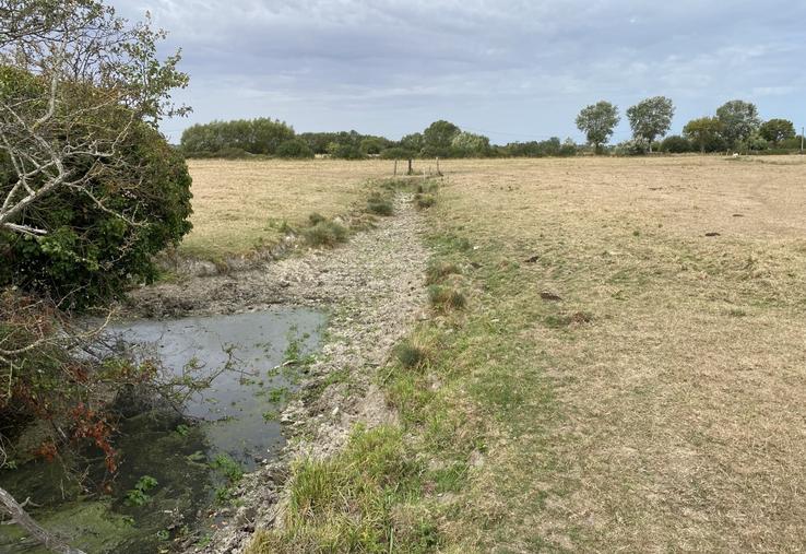 Dans les fossés des champs de Franck et Stéphane Labarrière, l'eau a disparu durant le mois d'août. Une première pour les exploitants qui ont dû alerter sur les usages à venir, notamment pour la chasse.