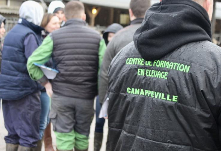 Les établissements agricoles normands ne constatent ni blocages, ni dégradations. 