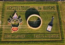 La fresque manchoise a mis en avant le poiré Domfront, l'élevage et le maraîchage. On peut lire "Goût et savoir, fruits du terroir".