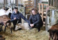 Aurélien Vautier et Caroline Bourgeois ont lancé leur activité de chèvrerie en 2020. Ils ont voulu se démarquer avec la transformation à la ferme et la production de lait d'hiver. Depuis 2025, ils ont lancé la ferme pédagogique. Ils posent ici avec Pascaline qui a grimpé jusqu'à 1 200 jours de lactation.