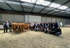 17 élevages Limousins ont participé au concours départemental cette année. Passage obligé : la photo de groupe avec la famille Auvray, sacrée meilleur élevage du concours.