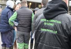 Les établissements agricoles normands ne constatent ni blocages, ni dégradations. 
