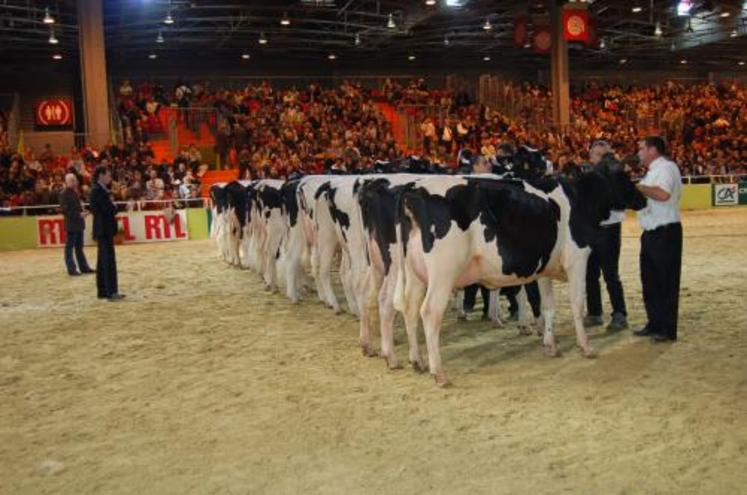 Les éleveurs Prim'Holstein devraient bénéficier prochainement des progrès de la biotechnologie.