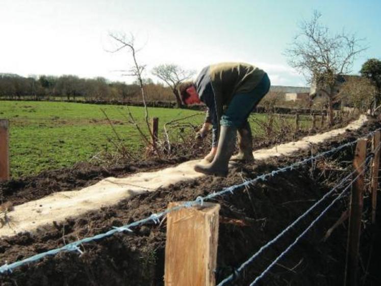 Plantation en cours.