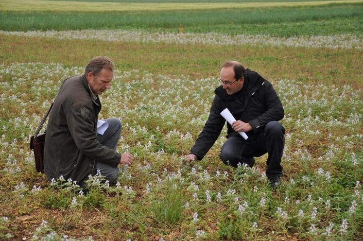 Antoine Herman (chambre d’Agriculture du Calvados) et Pierre Baumy (agriculteur qui accueille sur ses terres l’édition 2010 de “rencontre au champ”). Adapter ses pratiques pour mieux produire demain: une thèmatique qui sera déclinée à travers 17 ateliers.