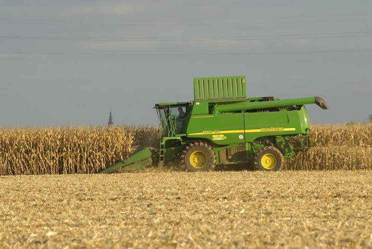 Cette année, compte tenu de la tendance des marchés en céréales, le maïs grain pourrait  être payé 13 €/quintal (net de séchage et de taxes) au producteur.