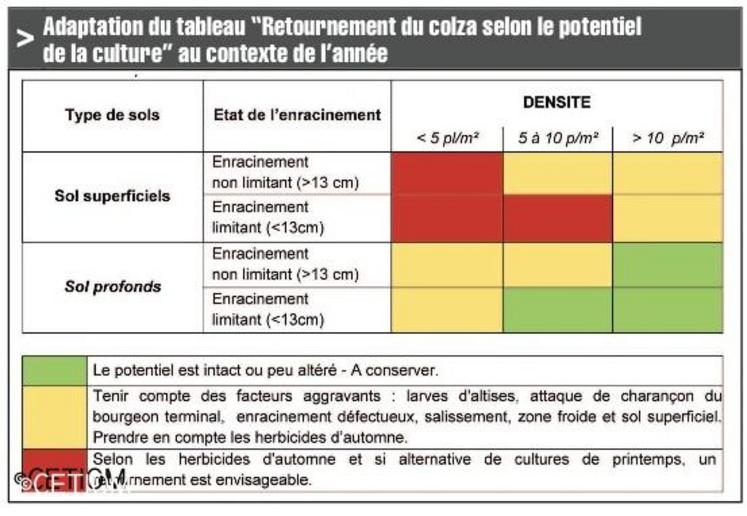 Bilan de la vague de froid du mois de février 2012 - Conseils pour créer un  jardin exotique sous nos climats