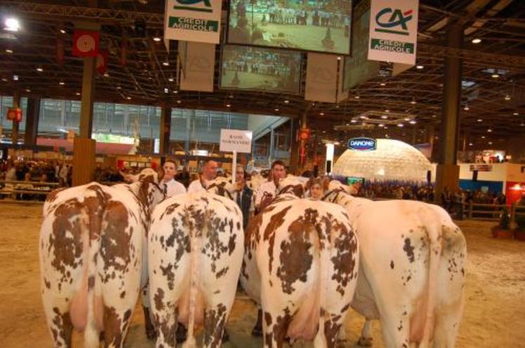 Le challenge Inter-Régional, la Basse-Normandie se classe troisième, derrière la Bretagne et les Pays de Loire.