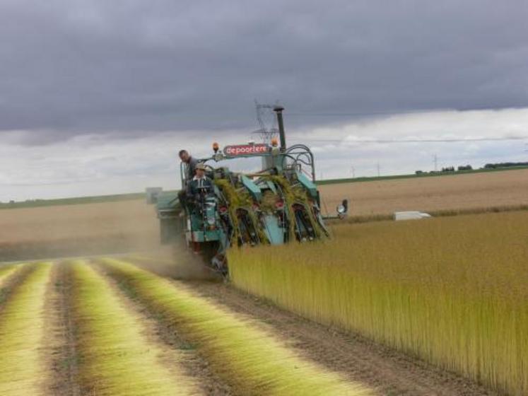 L’appui du GPS à l’heure de l’arrachage du lin : une approche qui facilite le travail avec des résultats intéressants en terme de qualité d’intervention.