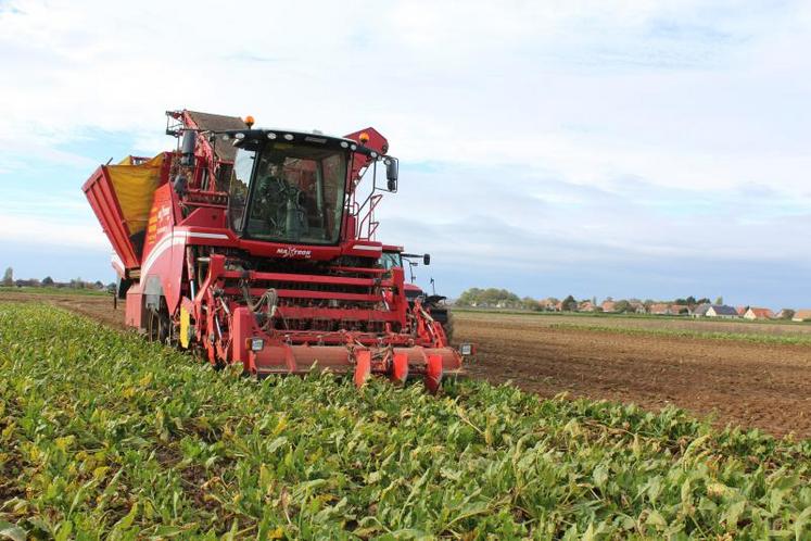 A date du 29 octobre 2019, les arrachages de betteraves ne sont pas suspendus, malgré le nouveau préavis de grève déposé par les salariés de Saint Louis Sucre.