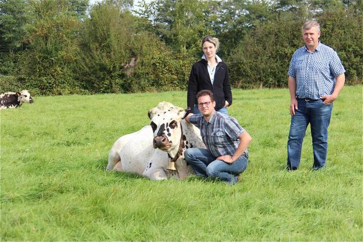 Christophe Barbé et Françoise (sa compagne) aux petits soins avec Héroïne (qui défendra les couleurs de l’élevage samedi à Caen) sous l’œil bienveillant de Denys Lerévérend (président du syndicat de la Race Normande du Calvados).