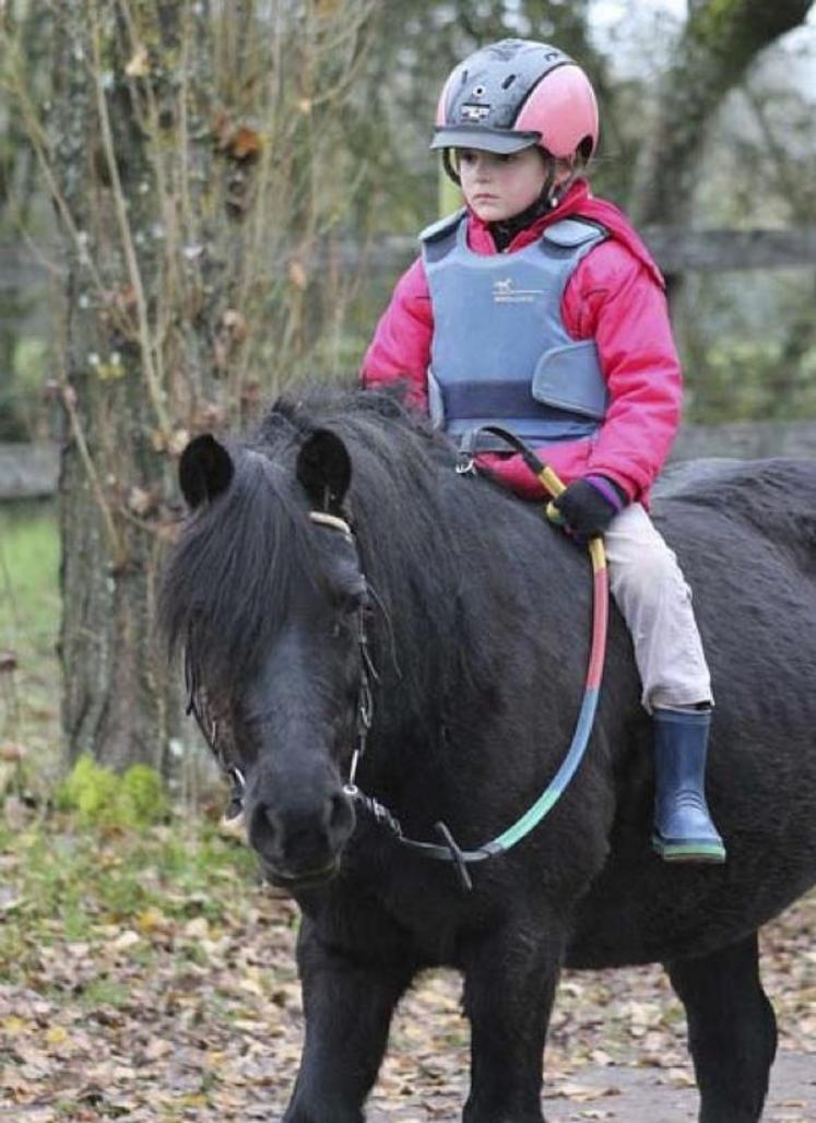 Le statut particulier du cheval entre “animal de rente” et “animal de service” est un frein à la traçabilité équine.