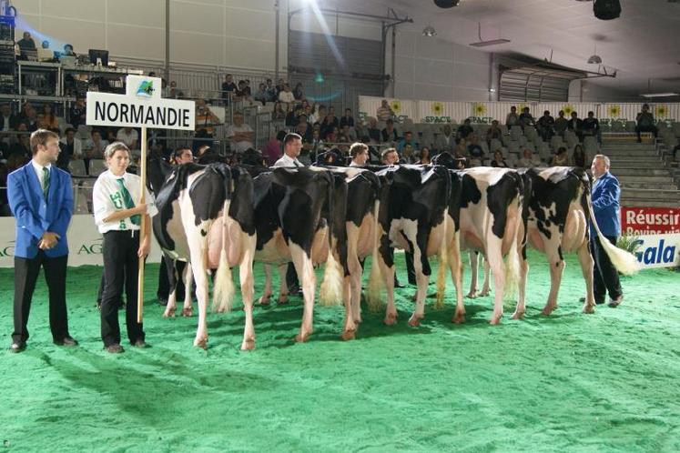 Deux prix de championnats et union normande sur les "Spéciaux".