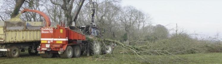 Un nouveau projet Cuma en bois bûche