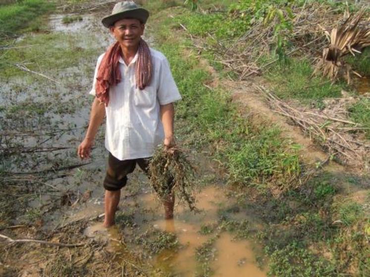 L'agriculture cambodgienne n'a que peu de choses à exporter.