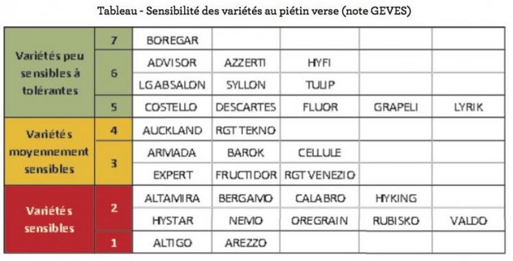 Variétés de blé les plus semées en France