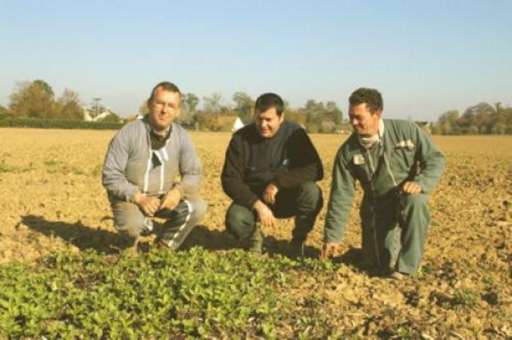 Alexandre Hemet (technicien à la coopérative de Creully) entouré d’Hervé Lefèvre et Olivier Guillot : “sur les 20 variétés existantes sur le marché, nous n’en préconisons que 2 pour des questions de couleurs”.