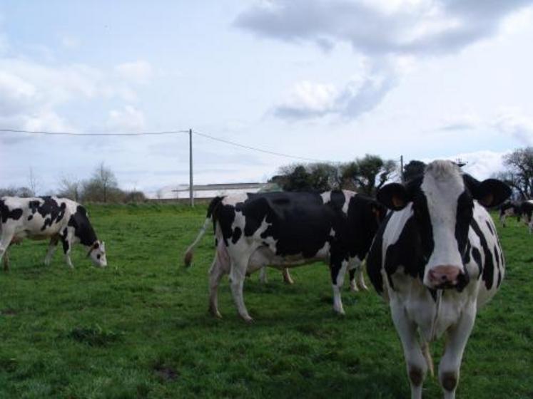 Installations classées, directive nitrates, capacité de stockage… Avant de s’agrandir, il est nécessaire de vérifier que le projet pourra se faire dans le respect de la réglementation en vigueur.