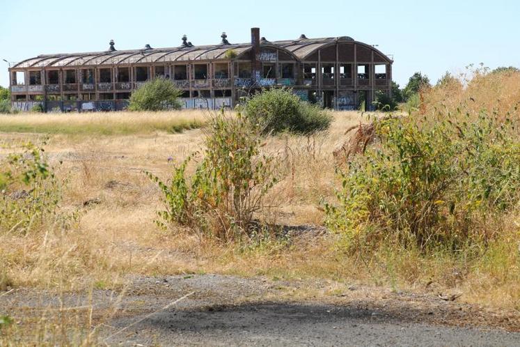 Sur l’agglomération caennaise, une soixantaine d’hectares de friches attendent une nouvelle destination. Problème, le coût de leur dépollution est souvent jugé trop élevé par les acteurs économiques. Construire sur des terres agricoles s’avère alors plus simple. C’est le constat amer de la FDSEA et des Jeunes Agriculteurs.