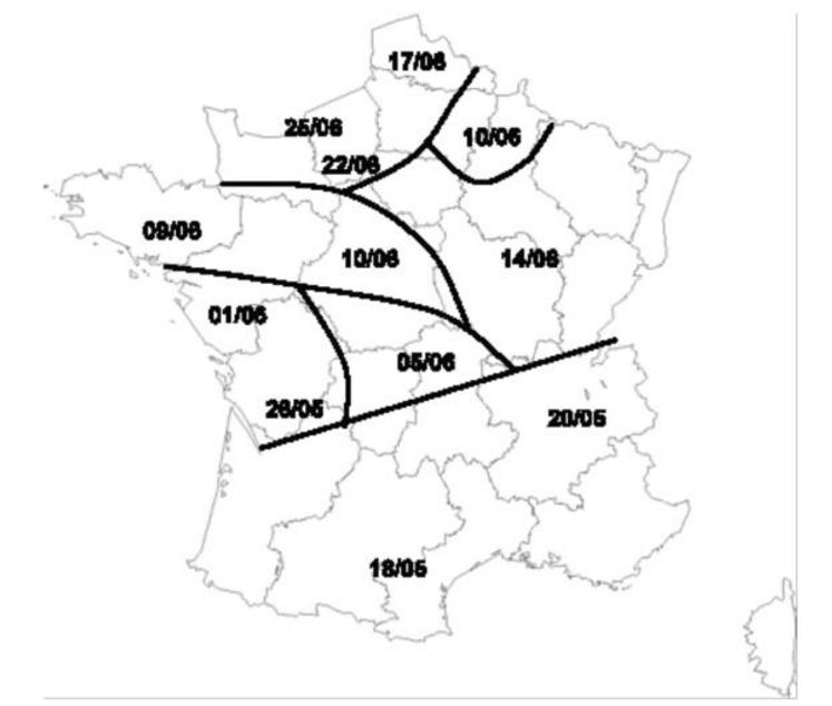 Dates critiques de l’application de l’azoxystrobine sur pois de printemps (DAR 35 jours)