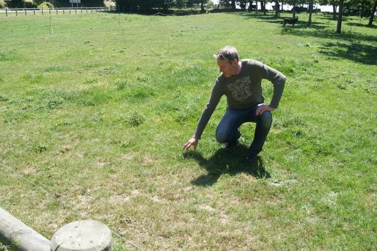 Jean-Michel Debesne, producteur laitier dans le sud-Manche, voit peu à peu ses pâtures griller; Il est inquiet pour ses maïs, orges et blés.