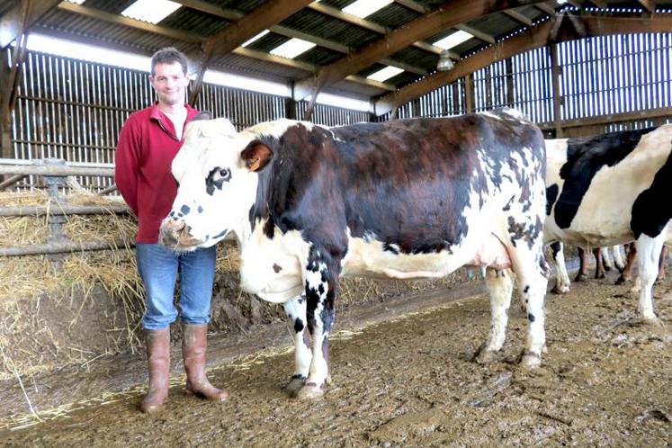 Anthony Leduc est installé au Gaec Bas-Normand avec ses parents. Ils traient une centaine de Normandes. « Nous sommes passés en AOP chez Gillot en 2016. Avant, nous étions collectés par Agriaal, notre lait partait chez Sodiaal et nous étions payés par Lactalis. » DR