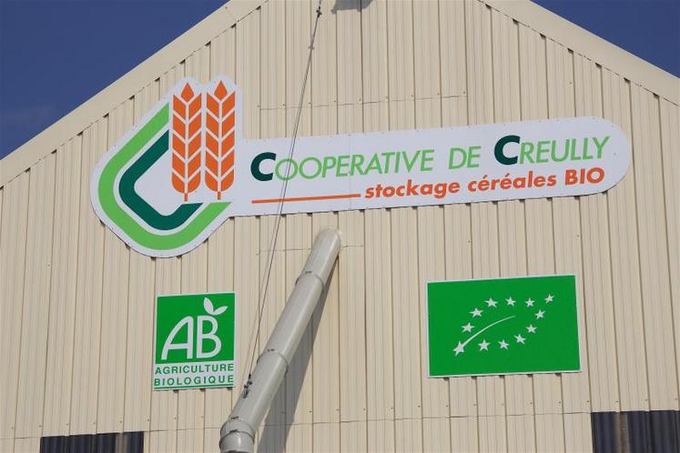 La collecte 2018 devrait s’élever à 2 000/2 500 t environ hors impacts climatiques. Le projet de la coopérative prévoit, pour débuter, une capacité de stockage de 3 000 t. Cette capacité supplémentaire a pour vocation d’accompagner l’augmentation des surfaces mises en production pour l’AB et les besoins de fonctionnement pour réaliser le travail de préparation de la commercialisation des céréales. L’objectif est de pouvoir utiliser totalement les capacités de cet outil ...