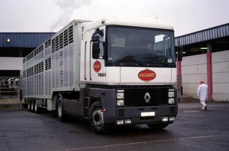 Les deux sociétés associées vont constituer un groupe traitant plus de 1 million de tonnes de viande permettant de faire le poids face aux groupes internationaux tels que Vion aux Pays-Bas, Danish Crown au Danemark, JBS au Brésil ou  Smithfield aux Etats-Unis.