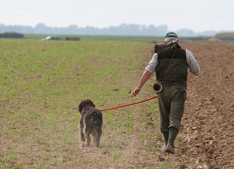 AUTORISATION CHASSE 50