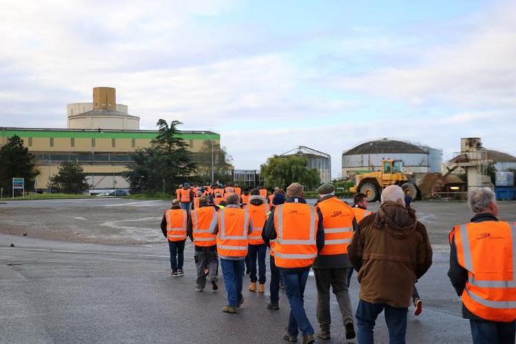 Les planteurs sont entrés sur le site dans le calme.