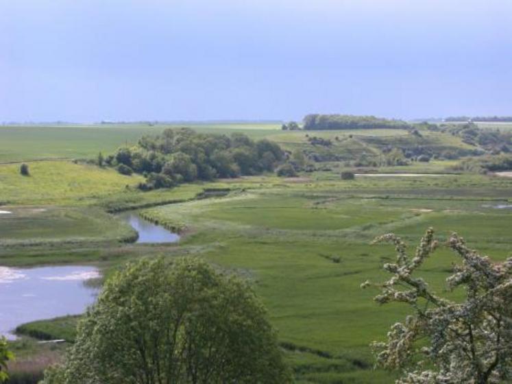 Sur les 5 000 ha, 1 600 seraient en zone sensibles et touchés par des mesures de restriction pouvant aller jusqu’au zéro produit phytosanitaire. Cela signifie le retour en herbe. Pas facile à gérer pour des 100 % céréaliers.