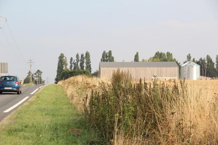 “Nous sommes critiques quand au devenir de la végétation non fauchée avant la maturité et la prolifération des graines, en particulier par la persistance des plantes que nous qualifions d’invasives, comme le chardon ou le rumex. Cette végétation a de fortes capacités de dissémination et, maintenue en l’état de porte-graines, il est à craindre une prolifération dans les parcelles agricoles voisines”, craignent FDSEA et JA.