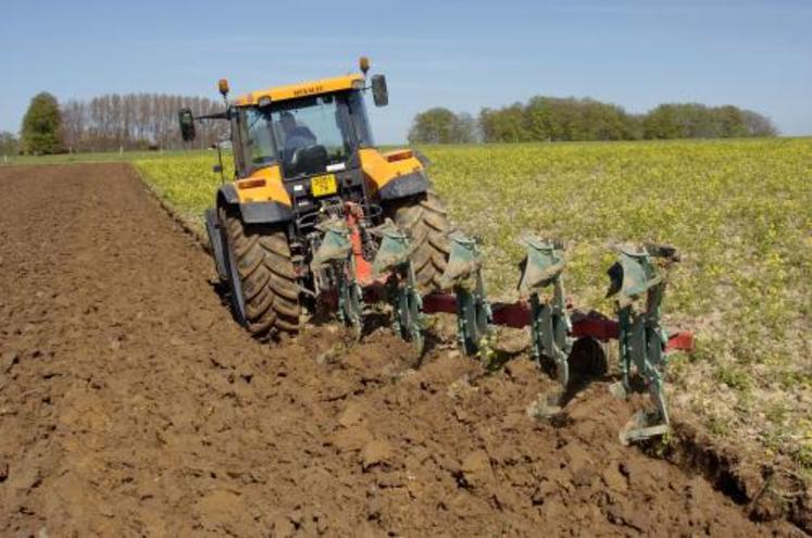 Cette année, la plupart des couverts de moutarde ou de phacélie ont gelé. Ce n’est pas systématiquement le cas pour l’avoine, et les ray-grass sont encore en place.