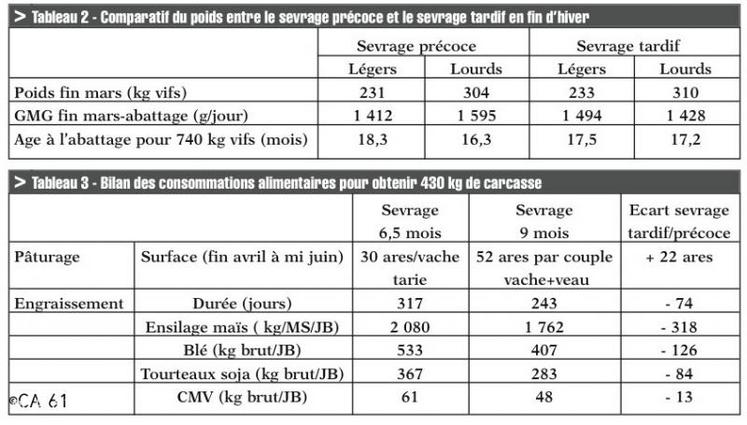 Alice et Alcidès Morgado en pré́sence des veaux issus 
des primipares né́s en septembre.