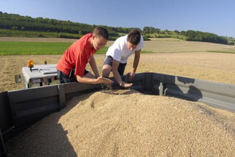 Si la hausse des prix agricoles a, cette année, favorisé les producteurs de grandes cultures, cette même hausse a pénalisé, de fait, les conditions d’approvisionnement des élevages en aliment du bétail.