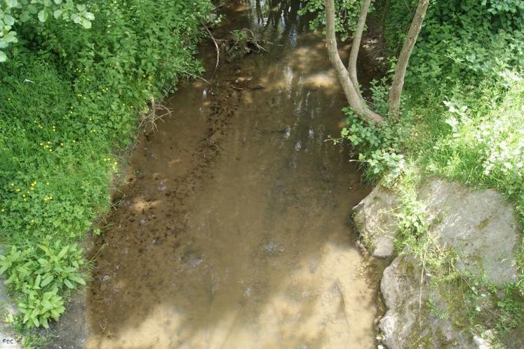 L'eau se fait rare en Manche (notre photo : La Sélune sur Le Teilleul). Pour préserver les nappes, des limitations viennent d'être mises en place. Au chapitre agricole, seules des recommandations sont effectuées. par la Préfecture