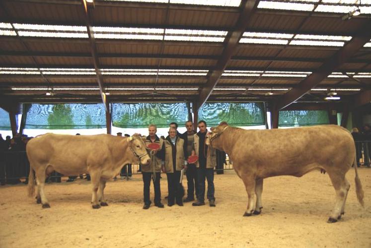 Blonde d’Aquitaine, un départemental de qualité grâce au travail des éleveurs.