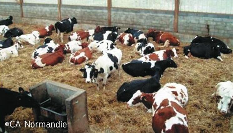 Ce document propose différents types de logements pour 58-60 ou 120 vaches laitières et 20 blocs traite de 5 à 32 postes.