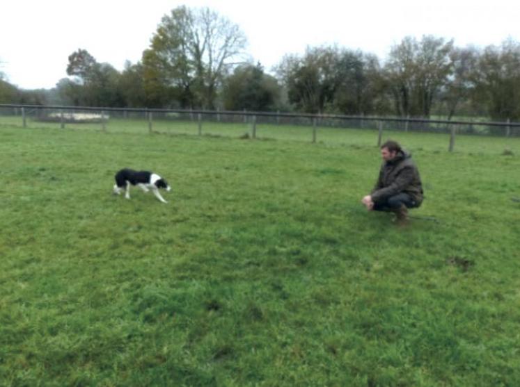 Cédric a instauré un climat de confiance avec sa chienne.