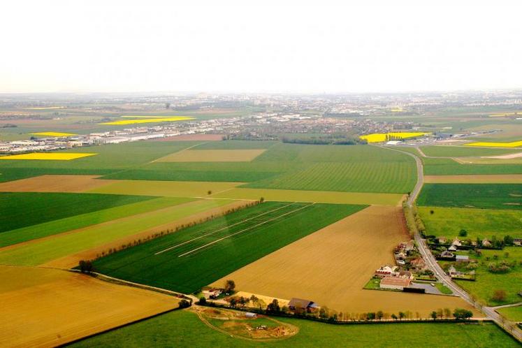 Concrètement, la SAFER propose à toutes les communes ou communautés de communes d’accéder en ligne à un observatoire interactif du foncier de leur territoire plaçant l’évolution de la surface agricole utile au centre des indicateurs.