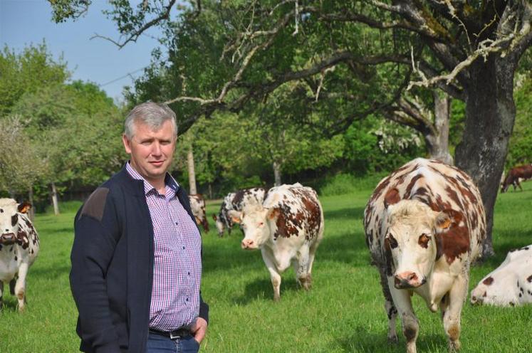 Rendez-vous le 27 mai à partir de 10 h à la MFR de Maltot. Cet évènement, devenu incontournable, devrait une nouvelle fois attirer près de 10 000 personnes. Connaisseurs ou non, issu du monde rural ou vivant en ville y trouvent leur bonheur.  DR