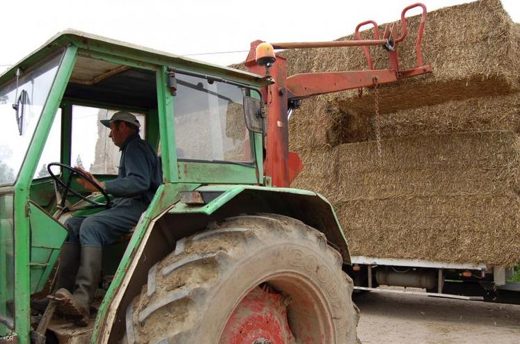 Un des derniers camions est arrivé chez Jean-Louis Lecœur, 
à Montchauvet. Au total, l'agriculteur avait commandé 34 tonnes de paille.