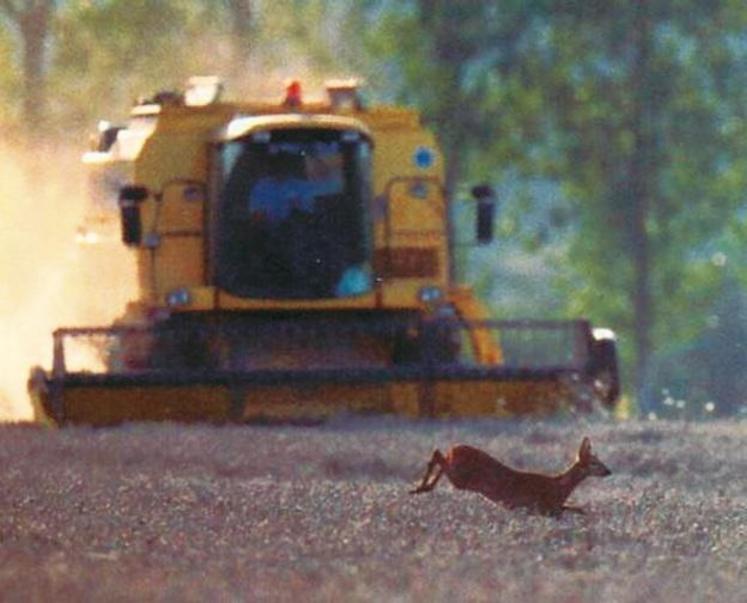 Si plusieurs machines sont dans le champ en même temps, il est préconisé de laisser de l’espace entre elles pour laisser les animaux s’enfuir.