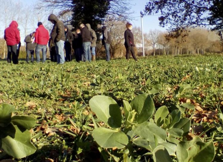 Tour de parcelles cet hiver.