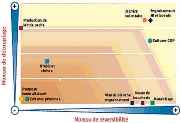 Jeune bovin et jachère sont plus flexibles qu'un atelier laitier ou des cultures pérennes.