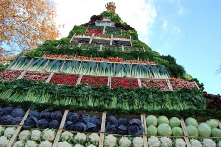 Les prodcuteurs de légumes, "nous avons ouvert une brèche : les distorsions de concurrence, notamment sur le coût du travail et sur la protection des cultures sont aujourd’hui reconnues".