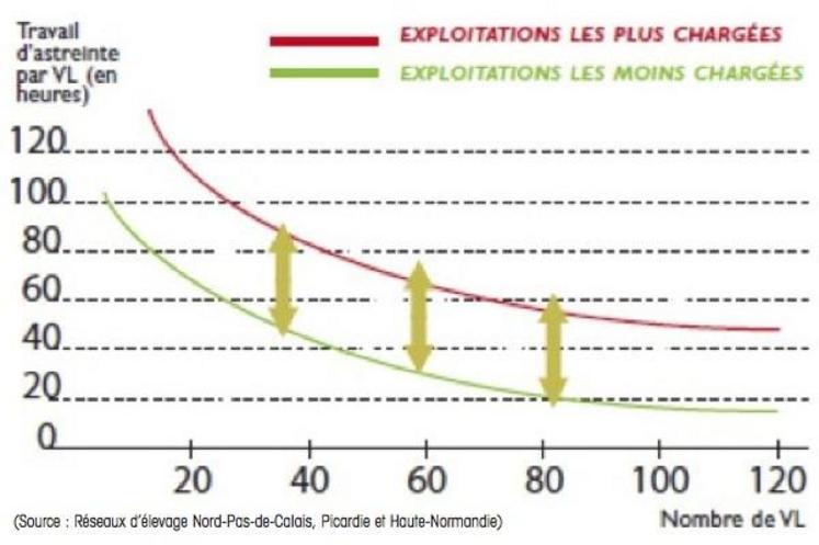 Graphique 1 - Travail d’astreinte par VL en fonction de la taille de l’élevage