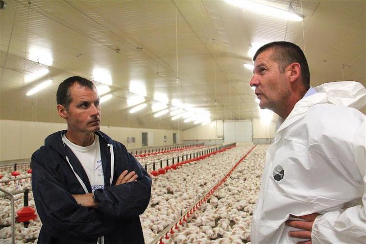 Alain Mazier et Benoît Bourrée. Pour enlever les 29 000 poulets, il faut 4 camions et 3 h 30 de travail (de nuit). Une équipe de 7 personnes, plus l’éleveur, est mobilisée.