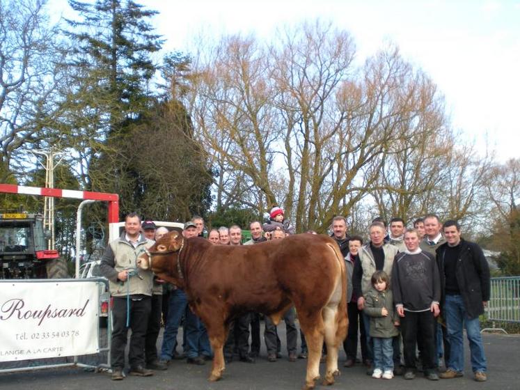 Sébastien Jacqueline (à gauche) et "Diablo Z" entourés des éleveurs participant au concours Limousin de Montebourg.